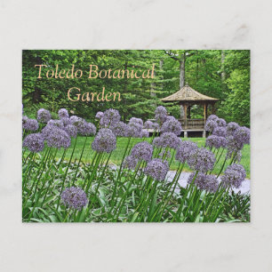POSTALE CARTE POSTALE, "PURPLE ALLIUM & GAZEBO" TOLEDO BOT