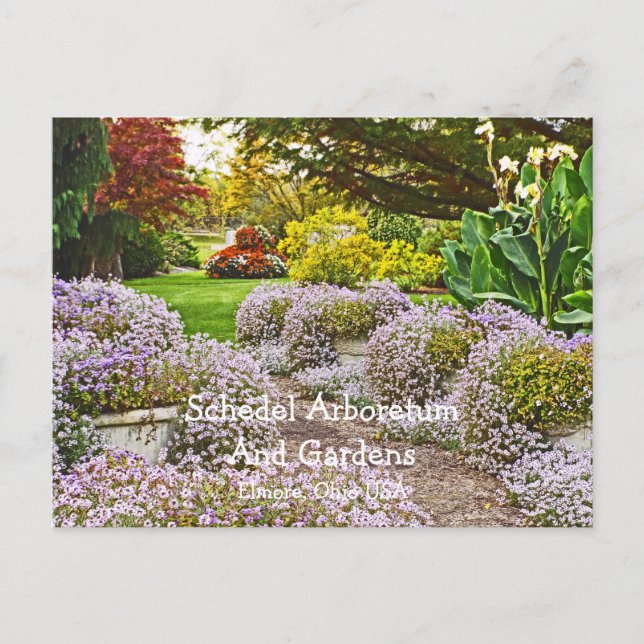 Postale carte postale, Schedel Arboretum et jardins (Devant)