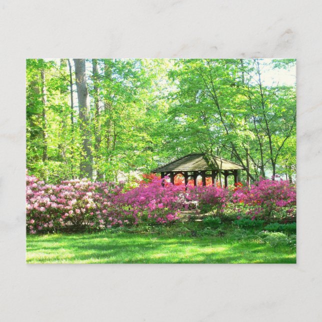 Postale carte postale, "Springtime At Toledo Botanical Gar (Devant)