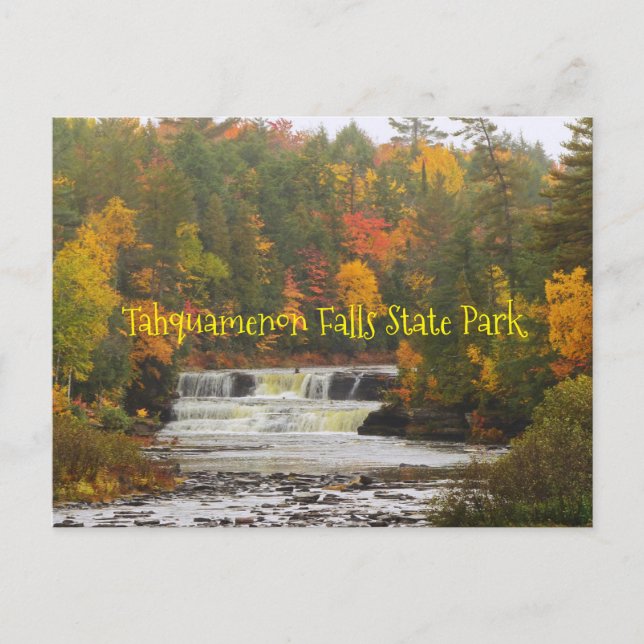 Postale carte postale, Tahquamenon Falls State Park, Michi (Devant)