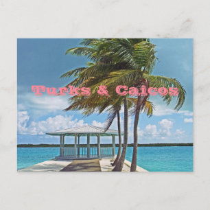 Postale carte postale, TURKS & CAICOS ISLANDS/PALMIER, PIE