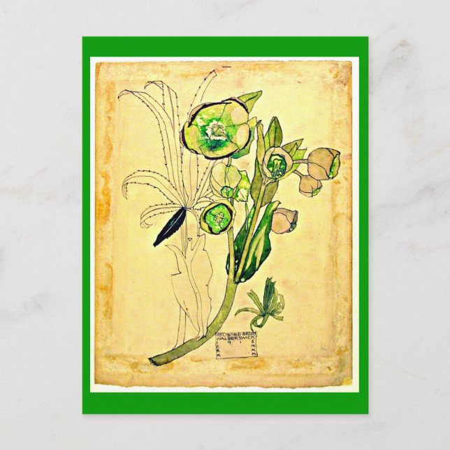 Postale Carte postale-Vintage Art-Charles Rennie Mackintos (Devant)