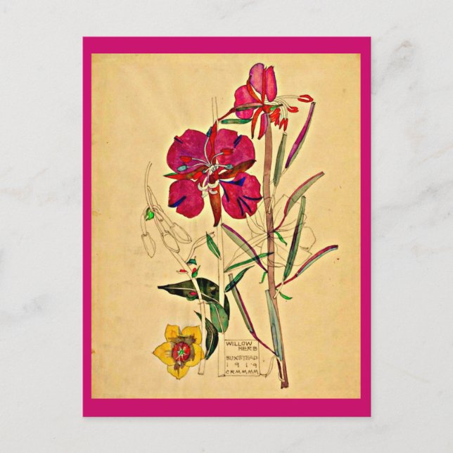 Postale Carte postale-Vintage Art-Charles Rennie Mackintos (Devant)