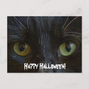 Postale Carte postale:  Yeux de chat noir