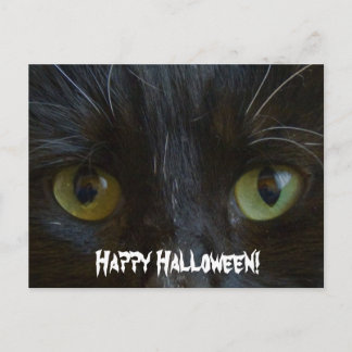 Postale Carte postale: Yeux de chat noir