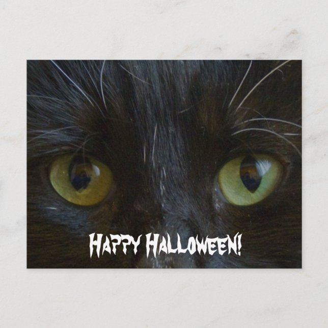 Postale Carte postale:  Yeux de chat noir (Devant)