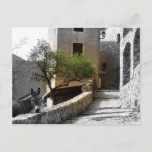 Postale Carte SANT'ANTONINO