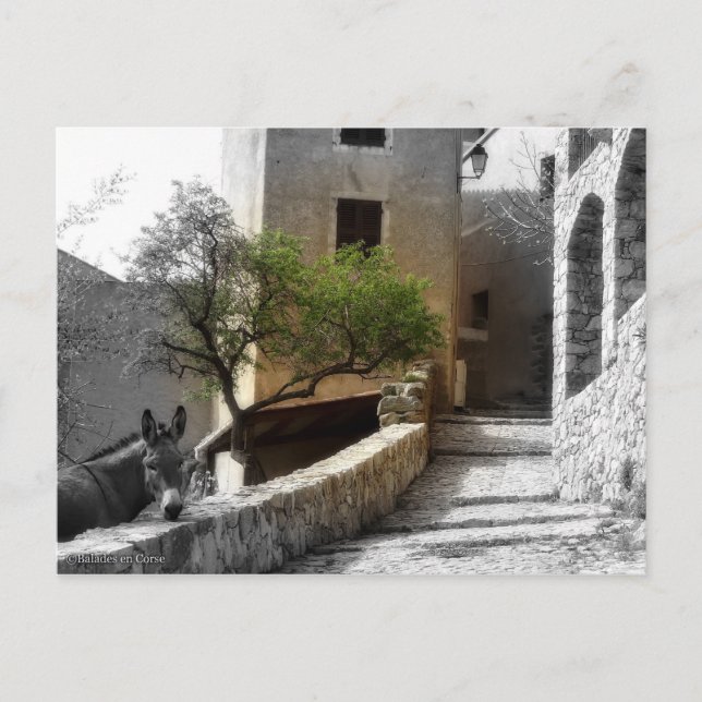 Postale Carte SANT'ANTONINO (Devant)