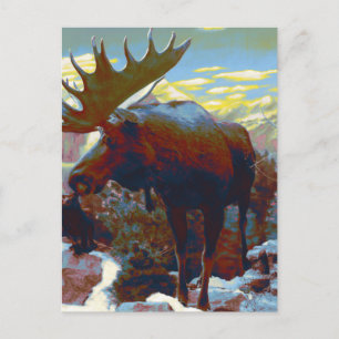 Postale Carte souvenir de Park City Moose