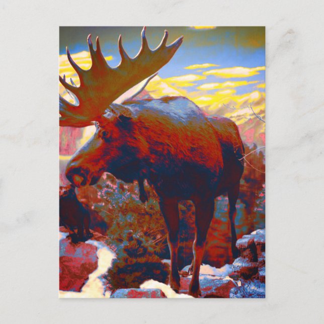 Postale Carte Souvenir Park City Moose (Devant)
