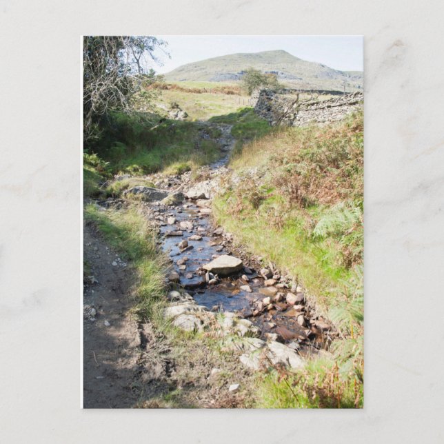 Postale Carte Stream Coniston Cumbrai England (Devant)