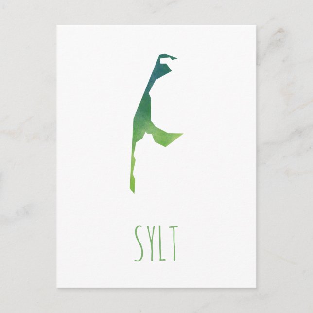 Postale Carte Sylt (Devant)