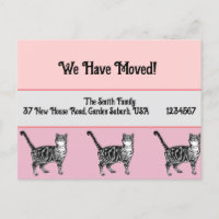 Carte Tabby rose Nouvelle Adresse Carte Postale, N