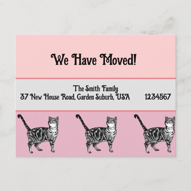 Postale Carte Tabby rose Nouvelle Adresse Carte Postale, N (Devant)