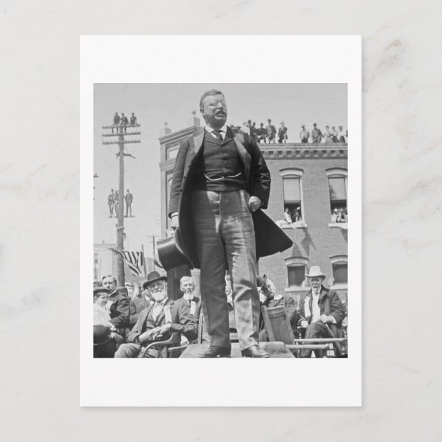 Postale Carte Teddy Roosevelt Stéréoview 1905 Vintage (Devant)