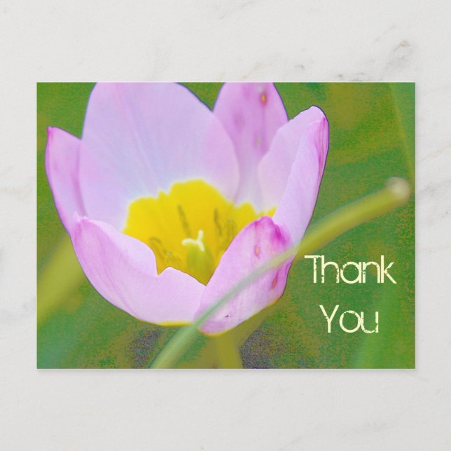Postale carte vierge de remerciement fleur de tulipe (Devant)