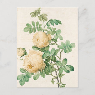 Postale Carte vintage