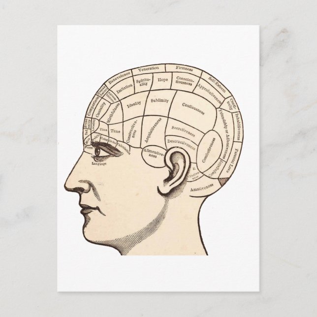 Postale Carte vintage du cerveau d'anatomie (Devant)