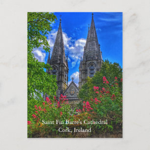 Postale Cathédrale Saint Fin Barre Cork, Irlande Carte pos