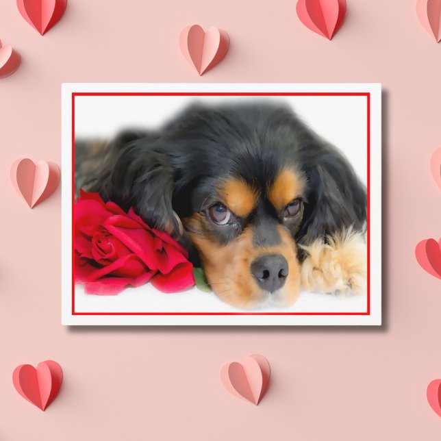 Postale Cavalier King Charles Spaniel Avec Une Carte Posta (Créateur téléchargé)