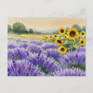 Postale Champ de Tournesol de Lavande Eté Provence Carte P