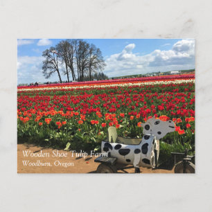 Postale Champ de tulipe avec Vache de jouets, Oregon Carte