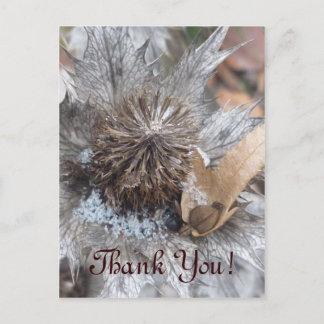 Postale Chardon d'hiver - Carte Merci
