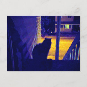 Postale Chat à la nuit dans le Vieux Quartier Carte postal