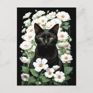 Postale chat noir en fleurs blanches (mise à jour) Carte p