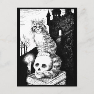 Postale chat noir et blanc Maine Coon Halloween carte post