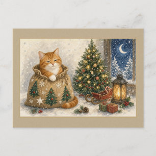 Postale Chat roux dans une carte de Noël en toile de jute