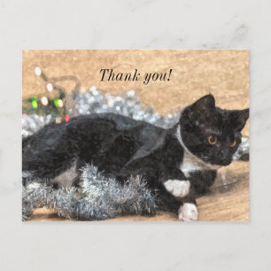 Postale Chaton Smoking Tinsel et Lumières Carte de Remerci
