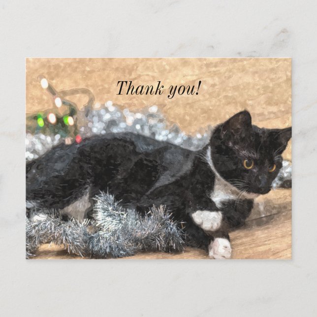 Postale Chaton smoking Tinsel et Lumières Carte de remerci (Devant)