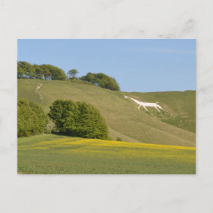 Postale Cherhill, Wiltshire, Angleterre Chalk Horse Carte 