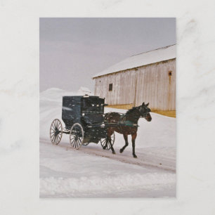 Postale Cheval Amish et Buggy sur la route hivernale Carte