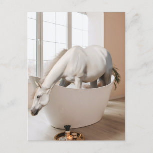 Postale Cheval Baignoire Bain Art Salle de bain Carte post