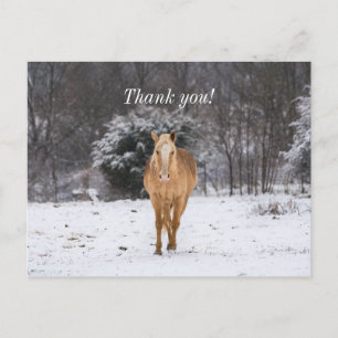 Postale Cheval Blond Marche Dans La Neige Carte De Remerci