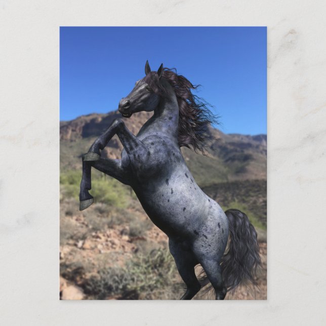 Postale Cheval Blue Roan Cabré dans le Désert Carte Postal (Devant)
