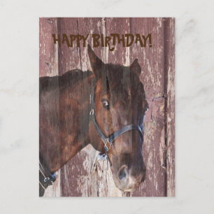 Postale Cheval & grange vous regardant la carte de voeux d