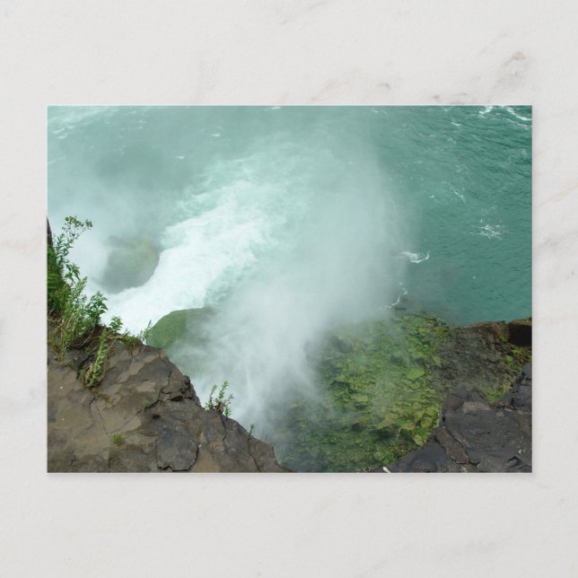 Postale Chèvre Island Terrapin Point Niagara Falls Carte p (Devant)