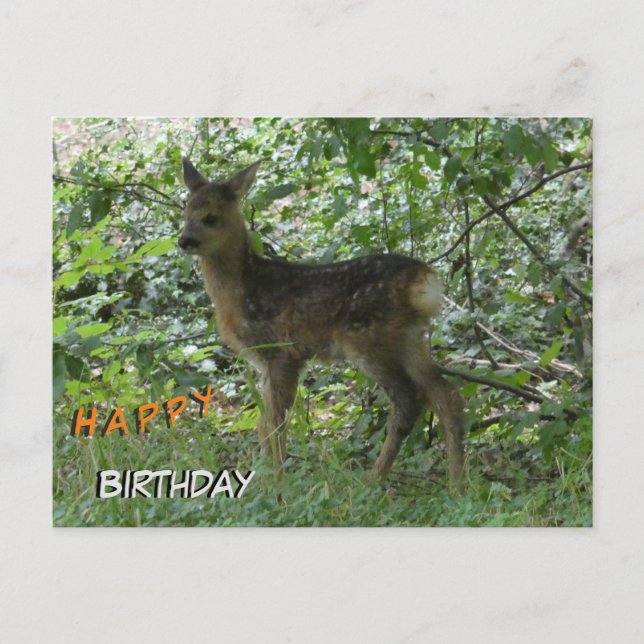 Postale Chevreuil mignon en forêt. Carte d'anniversaire (Devant)