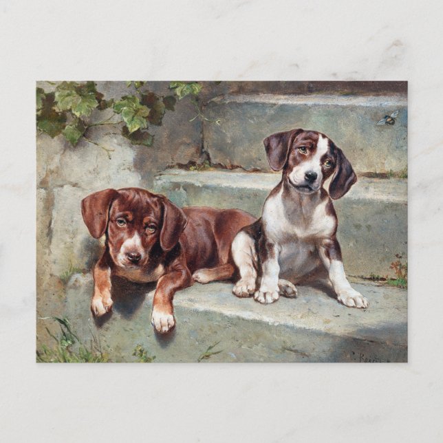 Postale Chiens beagles Chiens Chiens Chiens Vintage Carte  (Devant)