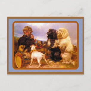 Postale Chiens et carte de jeu