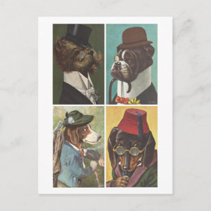 Postale Chiens vintages portant des vêtements Carte postal