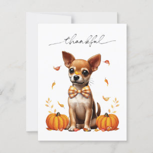 Postale Chihuahua Chute Remerciements Carte de voeux d'act