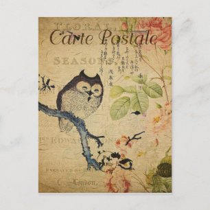 Postale Chouette de style vintage en succursale Carte post