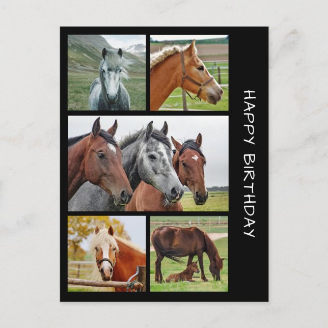 Postale Cinq cheval photo collage d'anniversaire carte pos (Devant)
