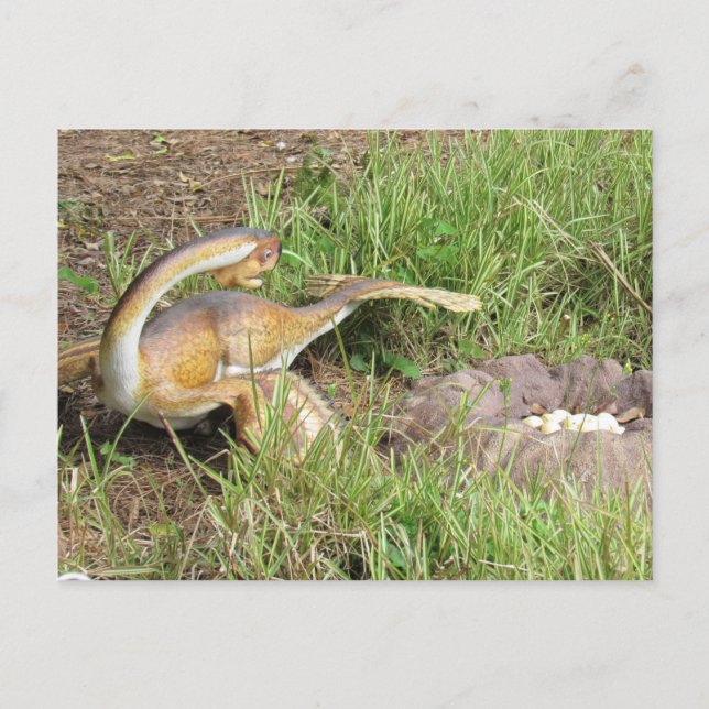 Postale Citadelle - Dinosaur - Carte d'apprentissage (Devant)
