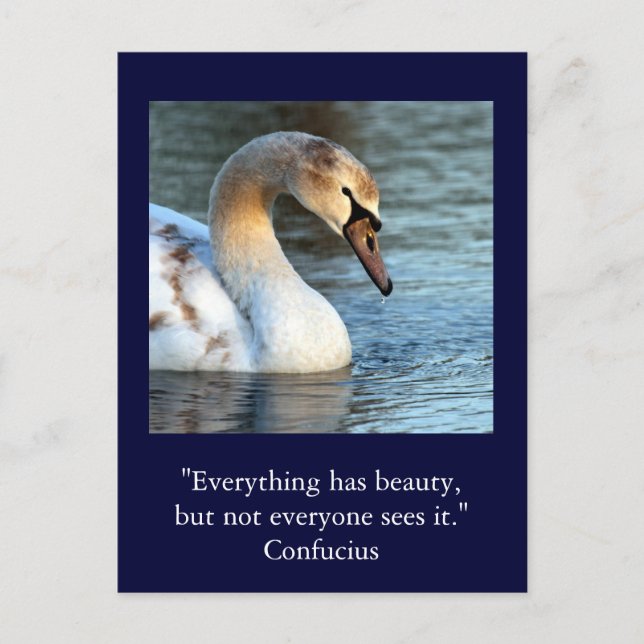 Postale Citation de carte Inspiration Confucius Beauté 1 (Devant)