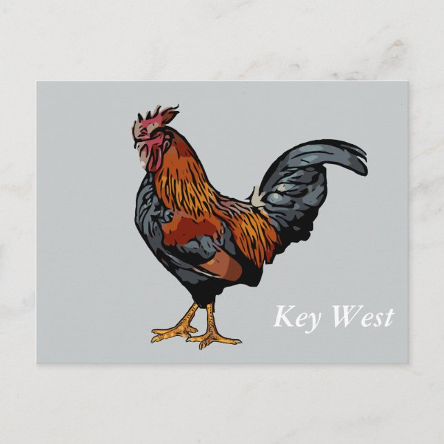 Postale Clé de coq gris West Carte de poste (Devant)
